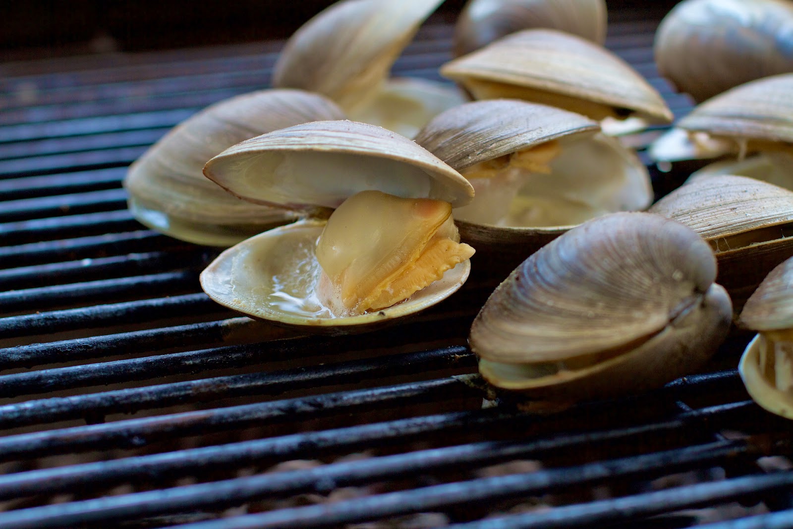 Grilled Clams with White Wine and Butter » Local Food Rocks