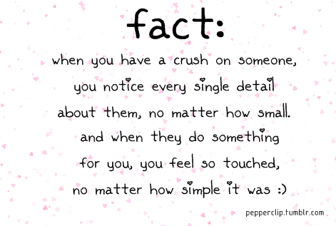 crush crushing fact tumblr quotes him someone when find crushes single don heart cute thinking pink sweet game spaz total