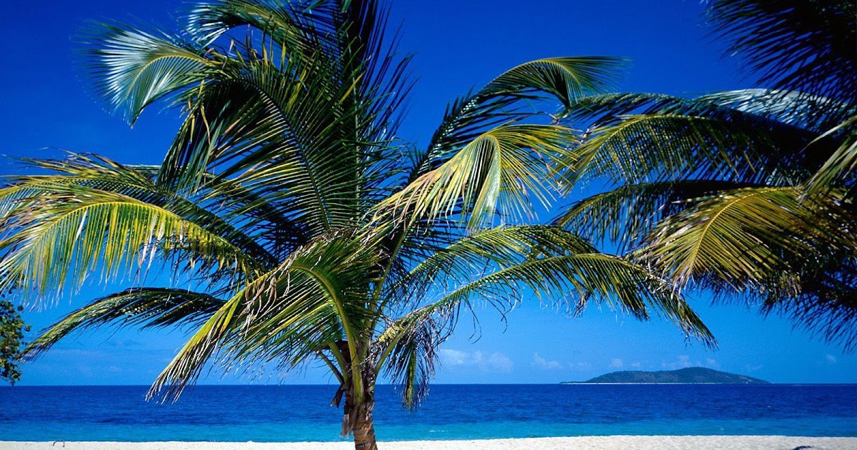 TAPPING ANDAMAN’S TOURISM POTENTIAL