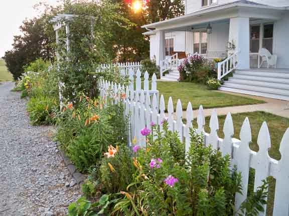 My Country Garden