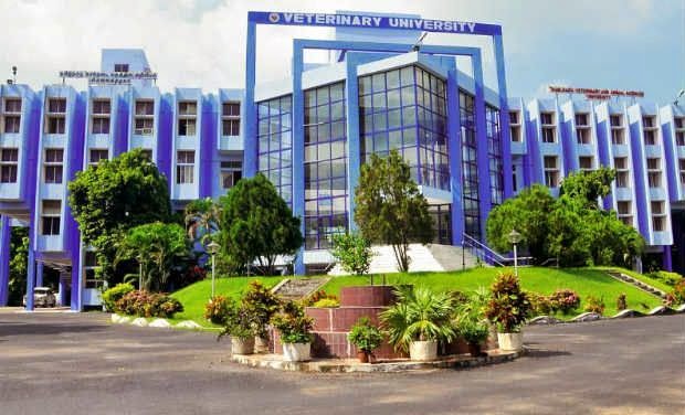 TAMIL NADU VETERINARY AND ANIMAL SCIENCES UNIVERSITY