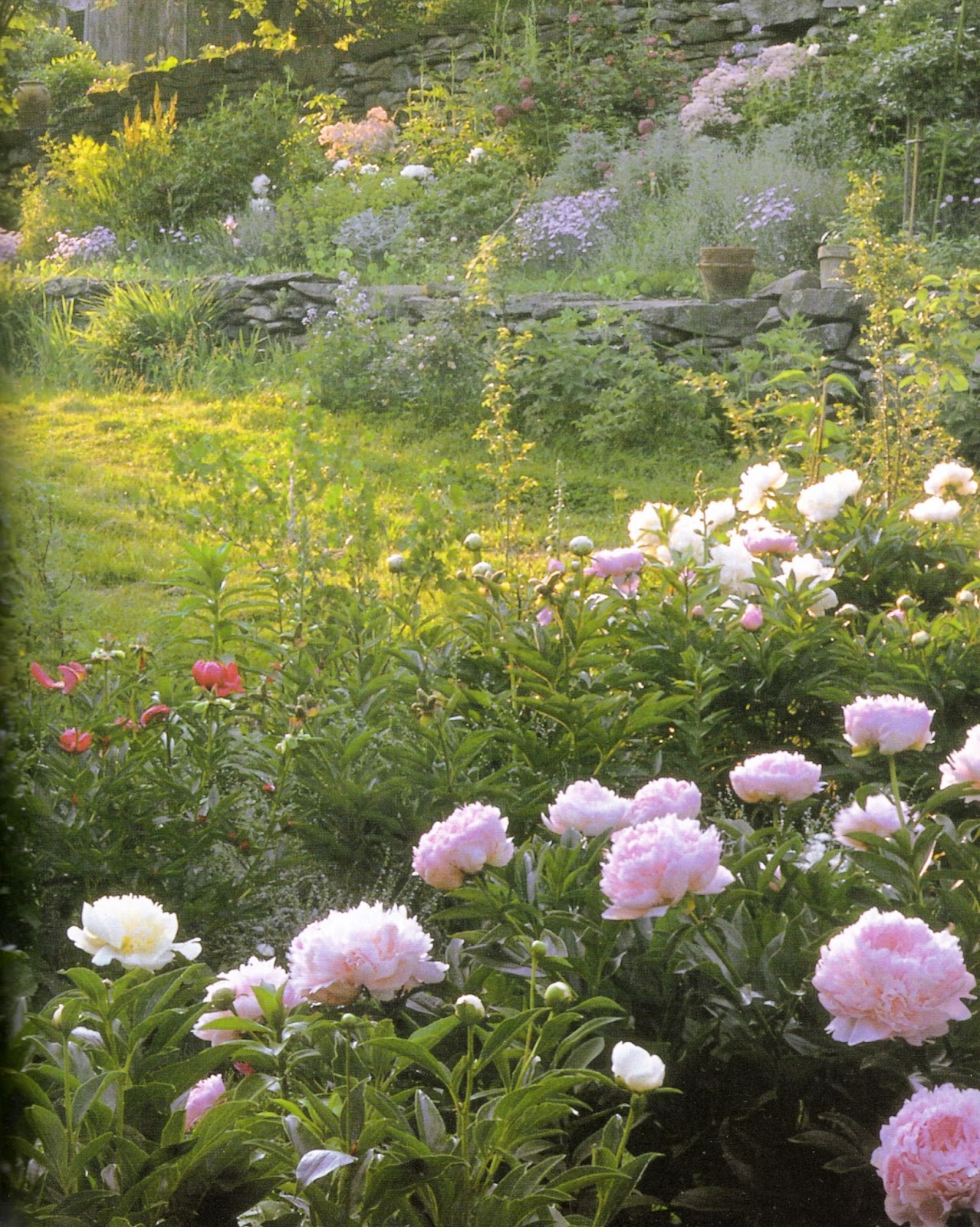 Flowers in Profusion Tasha Tudor's Garden in June