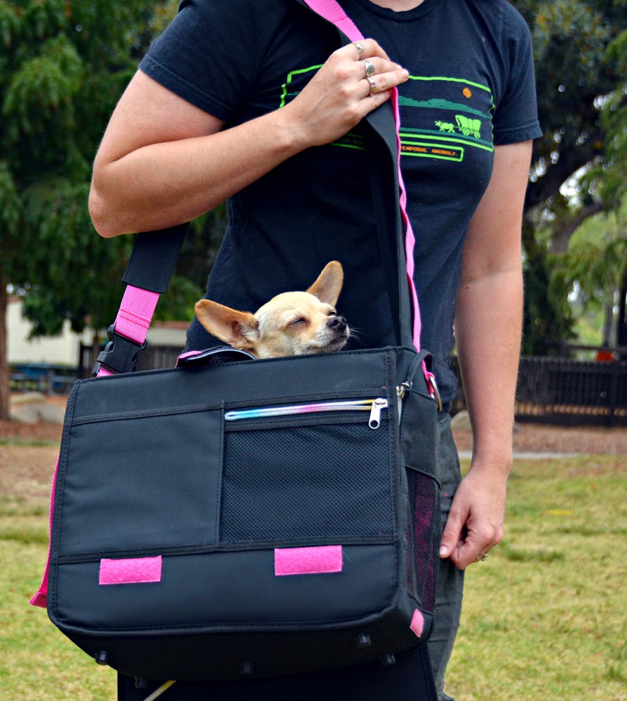 The Dog Geek Product Review Boots and Barkley Skull and Crossbones