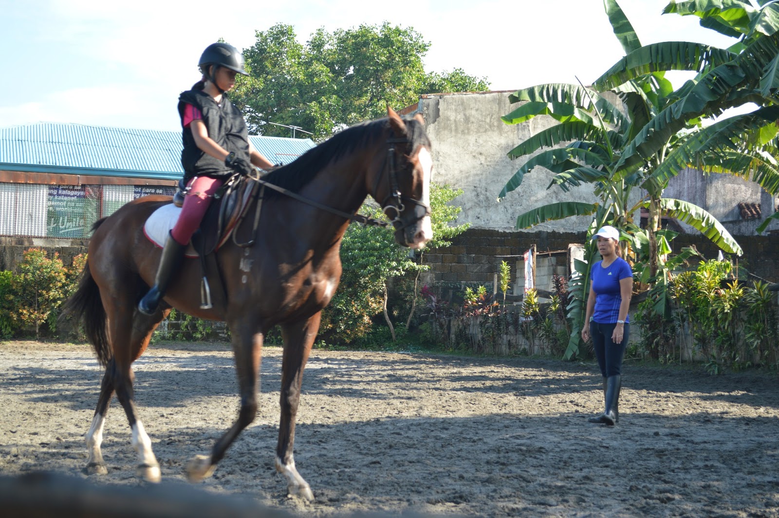 Horse Riding Philippines A Glimpse of Yana's Horesback Riding Lesson