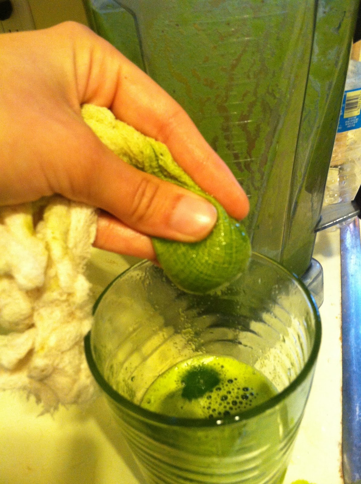 Vegan Noms Successful Juicing with a VitaMix