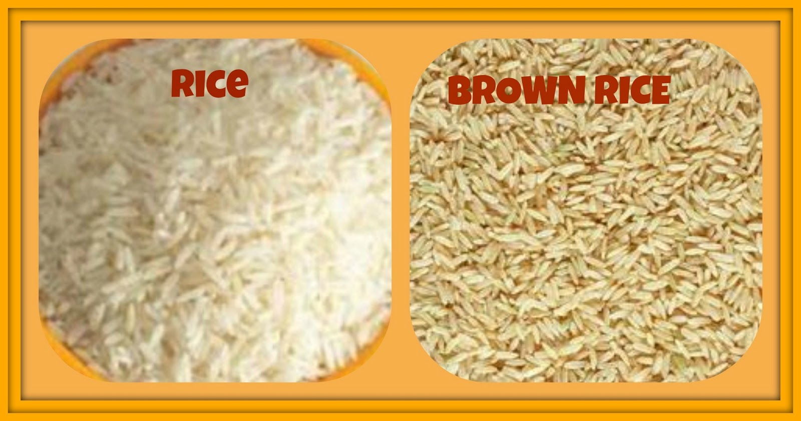 USHA'S KITCHEN Rice is a popular cereal crop