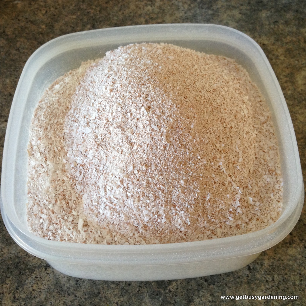 Everything WS Eggshells as Organic Pest Control