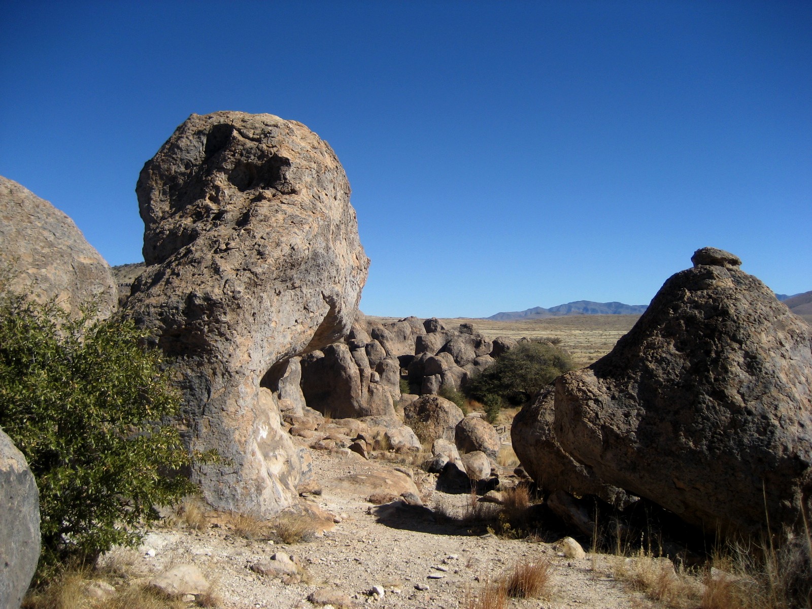 Living Rootless City of Rocks State Park, New Mexico