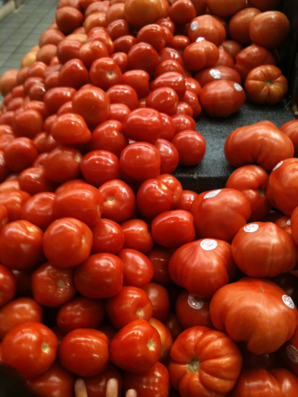 Central Florida Gardener Fragrance In The Garden