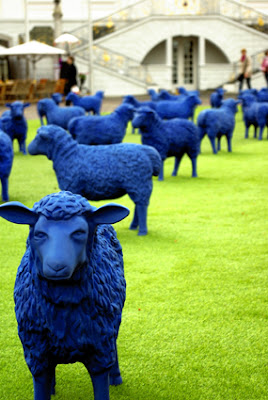 blue+sheep_Bonn2.jpg