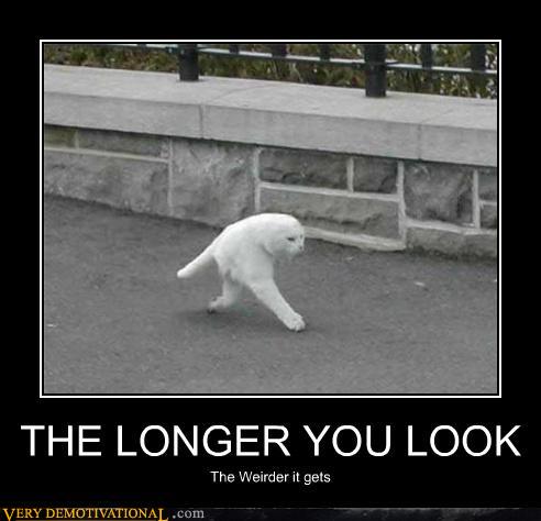 demotivational-posters-the-longer-you-lo