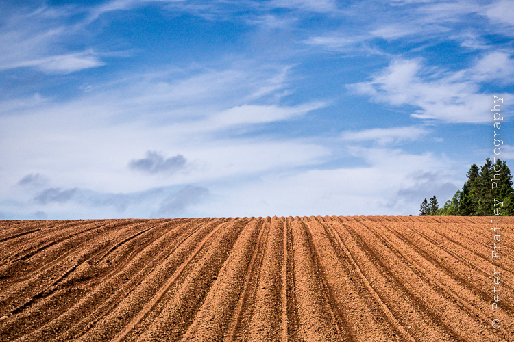 Peter Frailey Photography Blog The red soil farmland of PEI