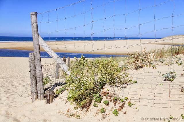 on the road,road trip,landes,moliets,courant du huchet