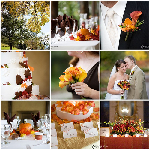 A harvest theme Fall in Love leaf motif or a fall fruit such as ripening 