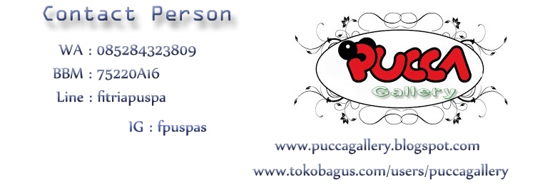 Pucca Gallery