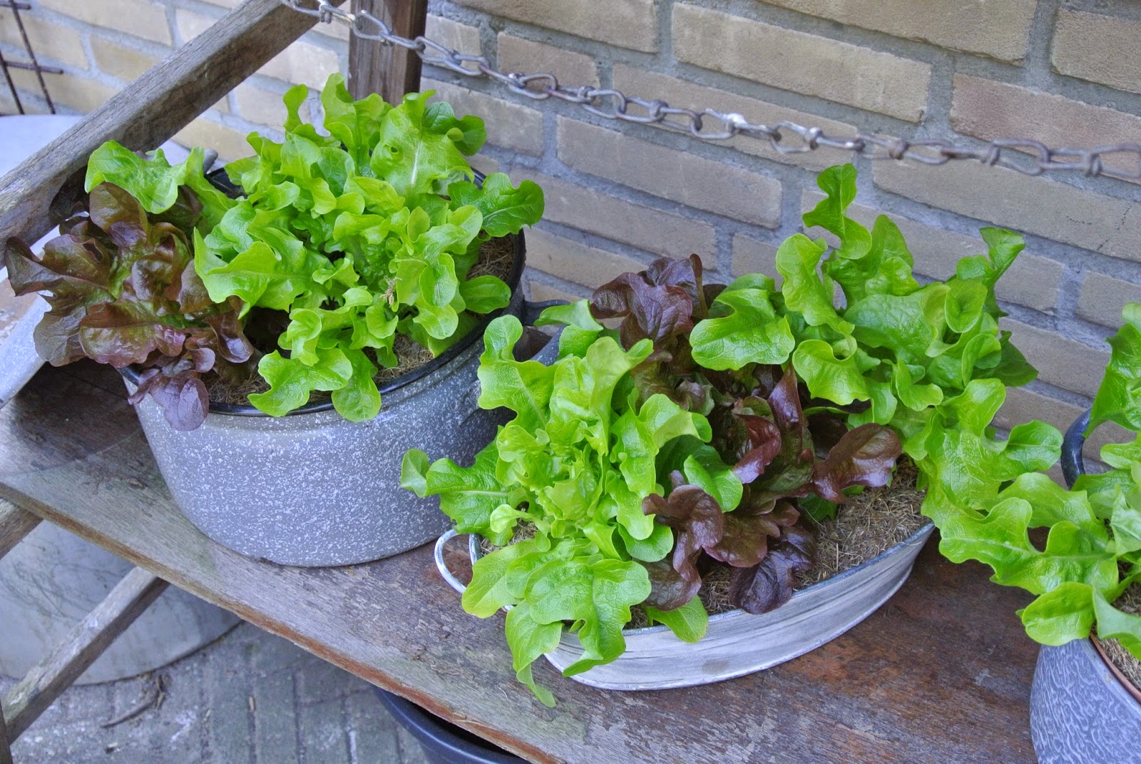 M i j m e r i n g e n . . .: mijmering 57 maaltijdsalade