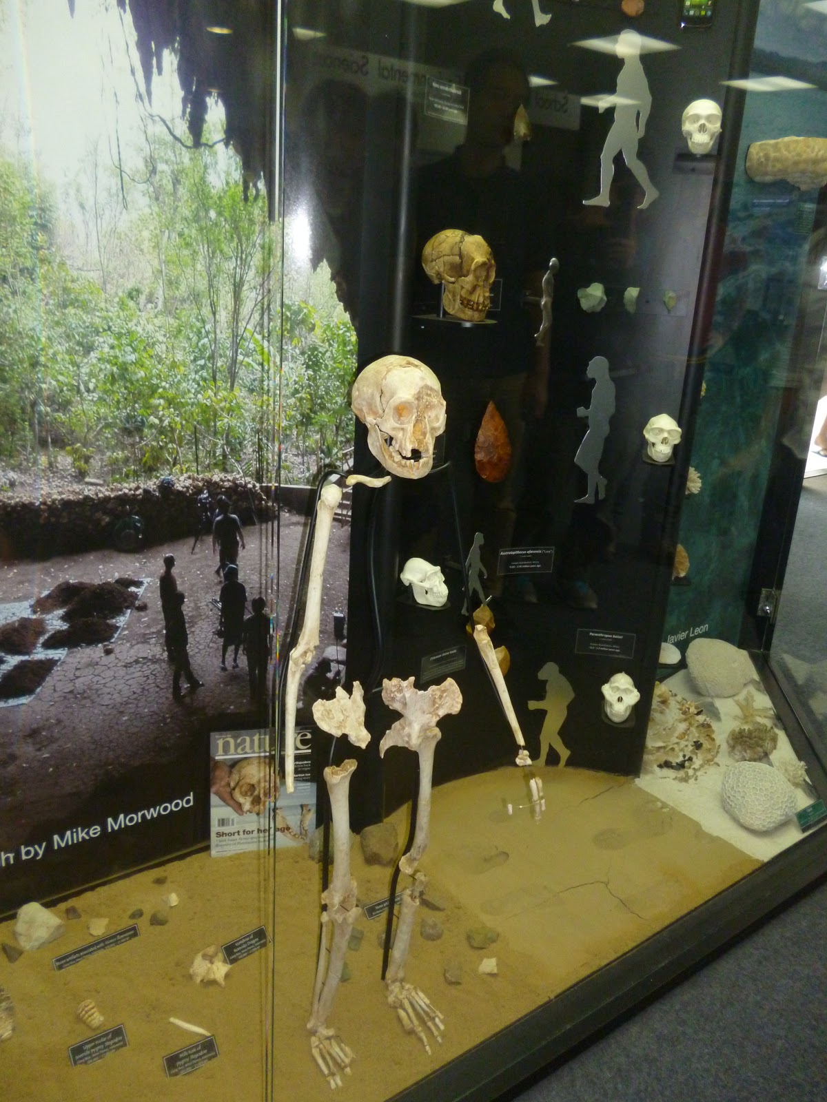 Yusuke Yokoyama Lab Diary オーストラリア巡検7日目 ウーロンゴン大学見学