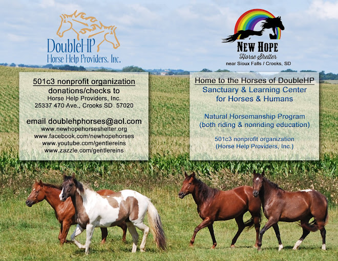 DoubleHP at New Hope Horse Shelter