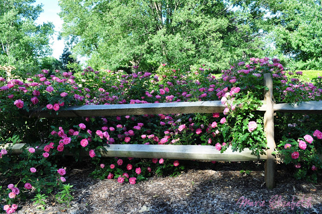 The Places I go...: October 2011