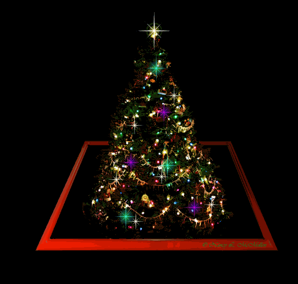 Pohon Natal A Display Picture BBM