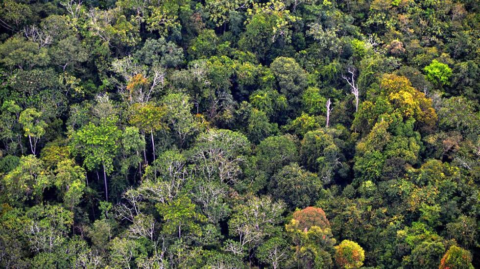 40. Borneo, Indonesia - 50 Stunning Aerials That Will Make You See the World in New Ways (PHOTOS) 40. Borneo, Indonesia - 50 Stunning Aerials That Will Make You See the World in New Ways (PHOTOS)