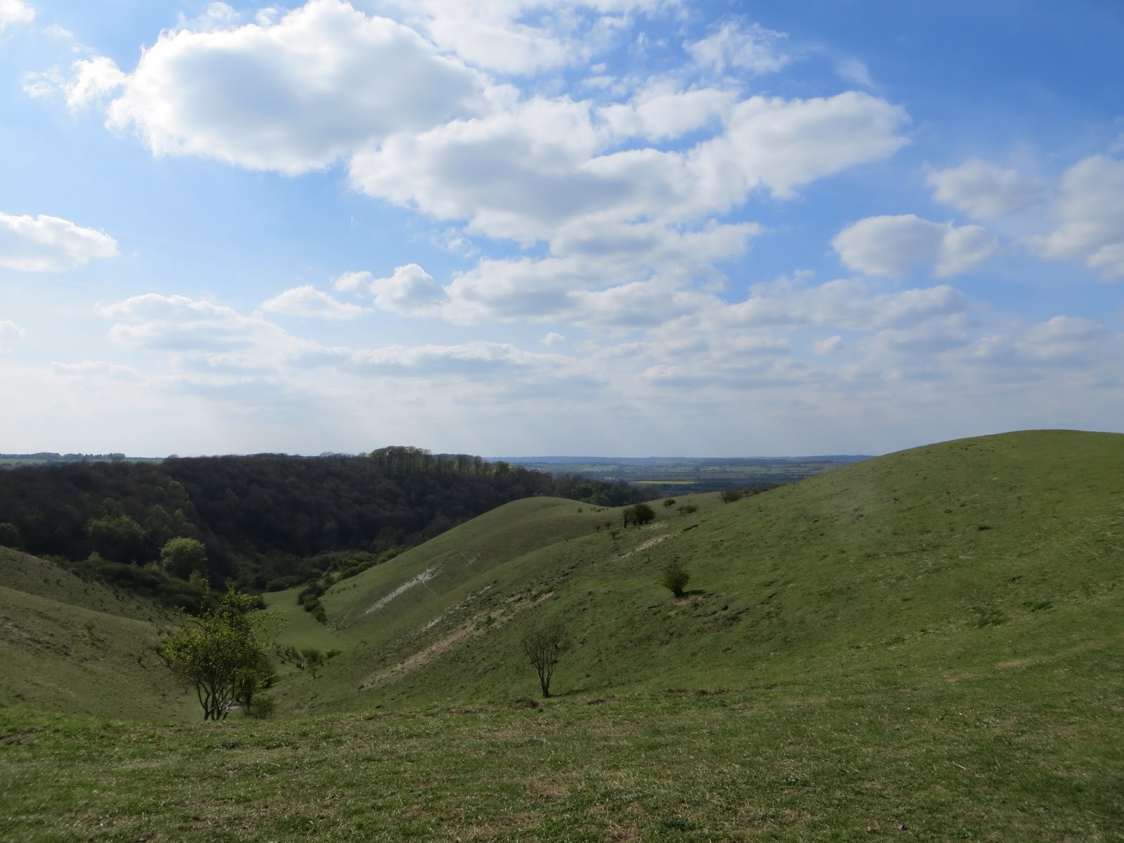 I Don't Do Hills 27 Barton Le Clay