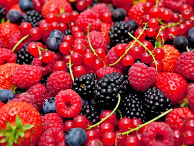 Frutas vermelhas: morango, mirtilo, amora framboesa e groselha