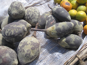 働く女性たち Working Women