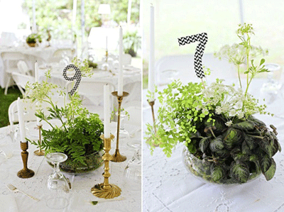 Eco Green Wedding Reception Ideas