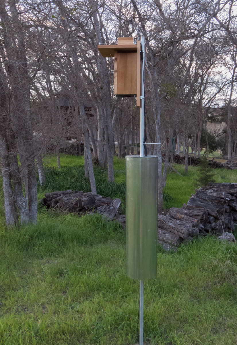 Edward Plumer Nestbox Camera Project