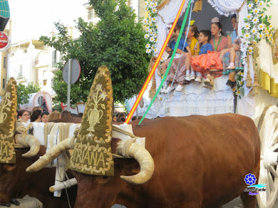 Hermandad del Rocío de Triana - Rocío 2015 Hermandad del Rocío de Triana - Rocío 2015