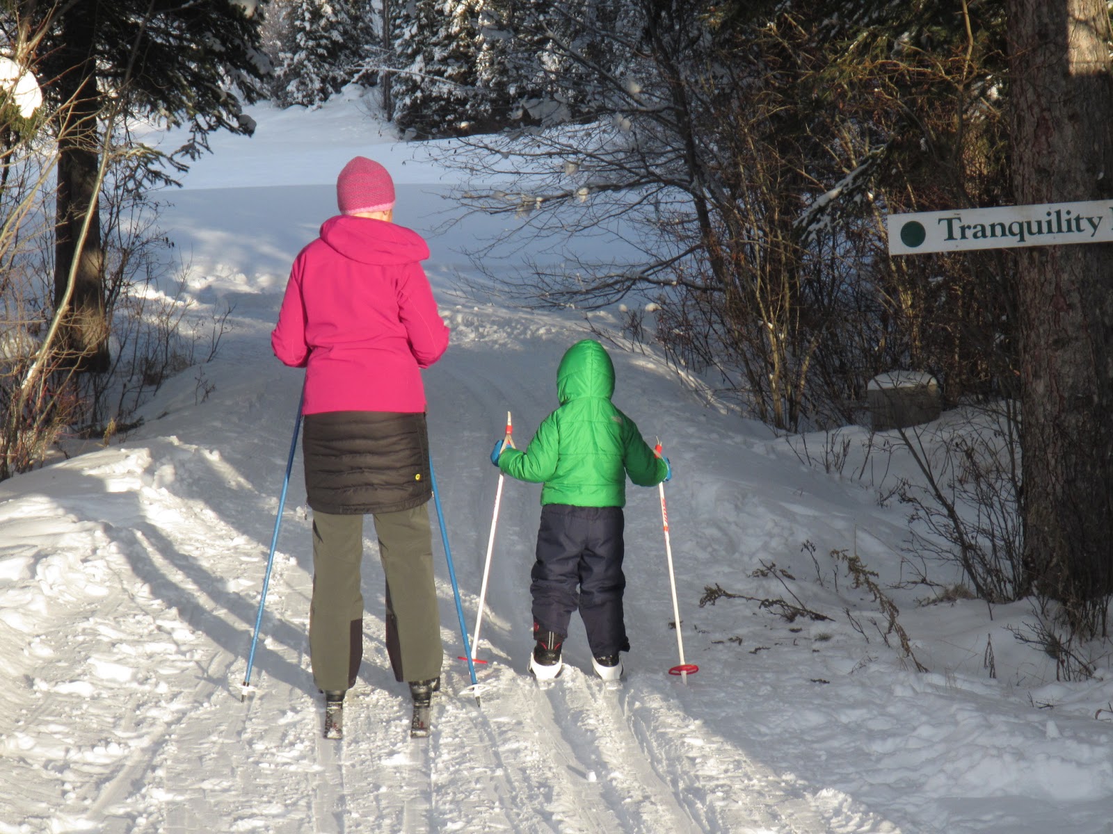 Family Adventures in the Canadian Rockies Cross Country Skiing With