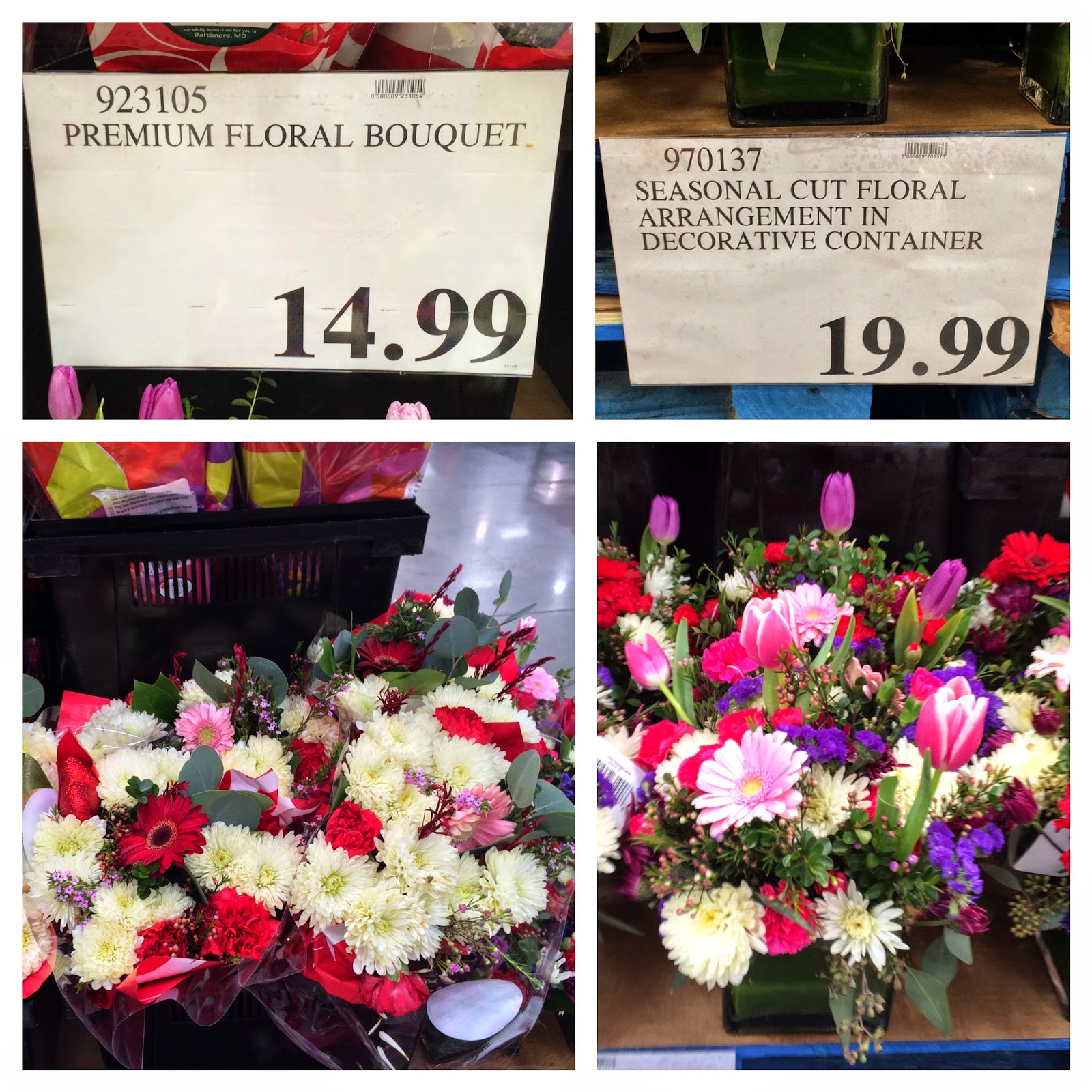 the Costco Connoisseur February 2015