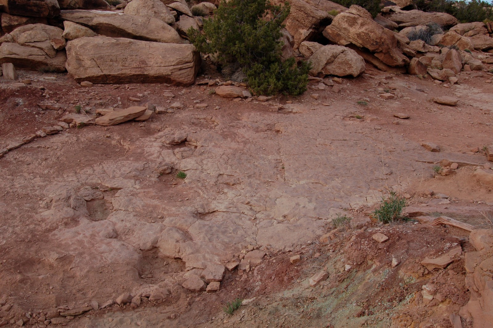 Take Them Traveling! Fossilized Dinosaur Footprints... and the