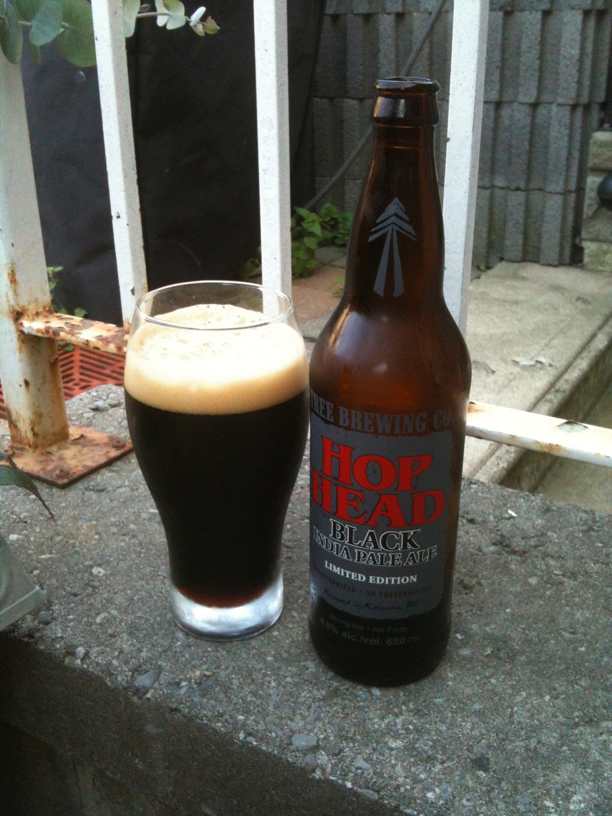 Stout Man in a Bitter World Hop Head Black India Pale Ale