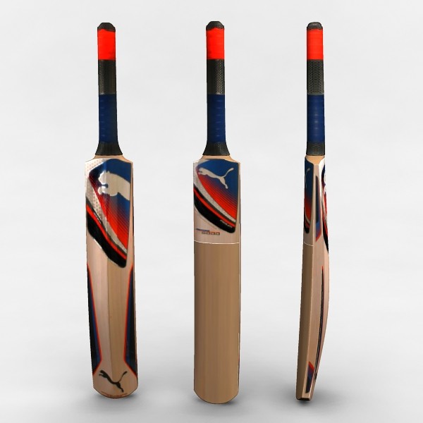 cricketbat3d
