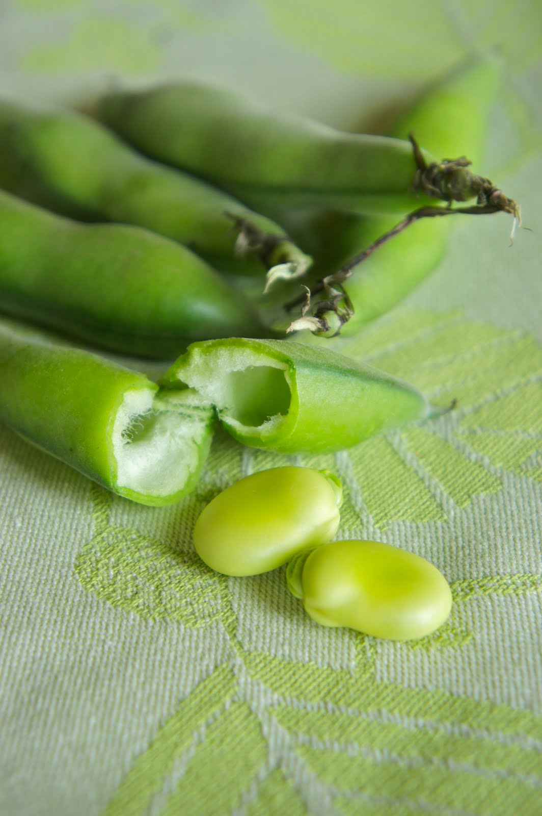 Thyme Fava Bean and Goat Cheese Dip with Radishes