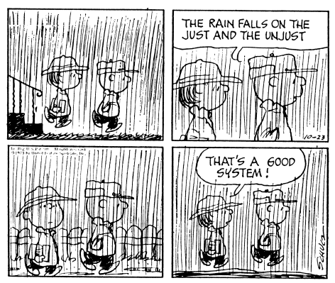 Peanuts.Rain+on+Just+and+Unjust.gif