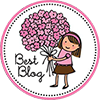 Premio Best Blog