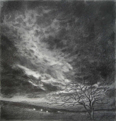 Tree, sky, drawing, graphite, dark sky, nocturne