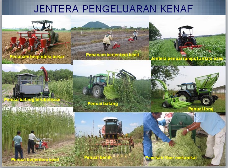 Julat hasil 12 – 25 mtan/hektar Julat hasil 12 – 25 mtan/hektar