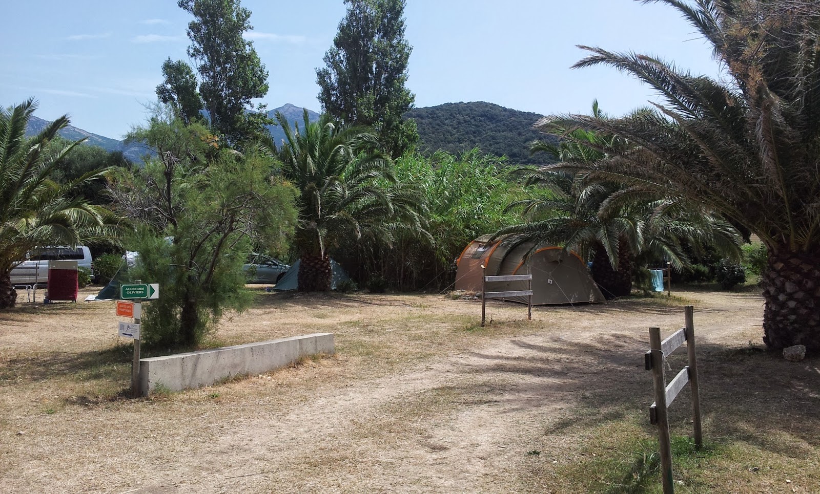 U Sole Marinu Campingplatz Korsika  Palmen