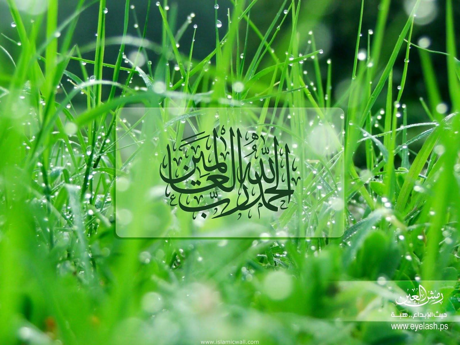 Wallpaper Islami MAJMAUL SANTRI
