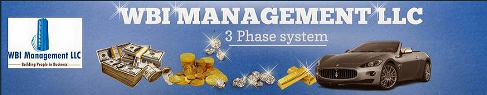 WBI Management 3 Phase System