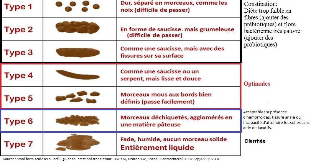 La santé globale du point de vu d