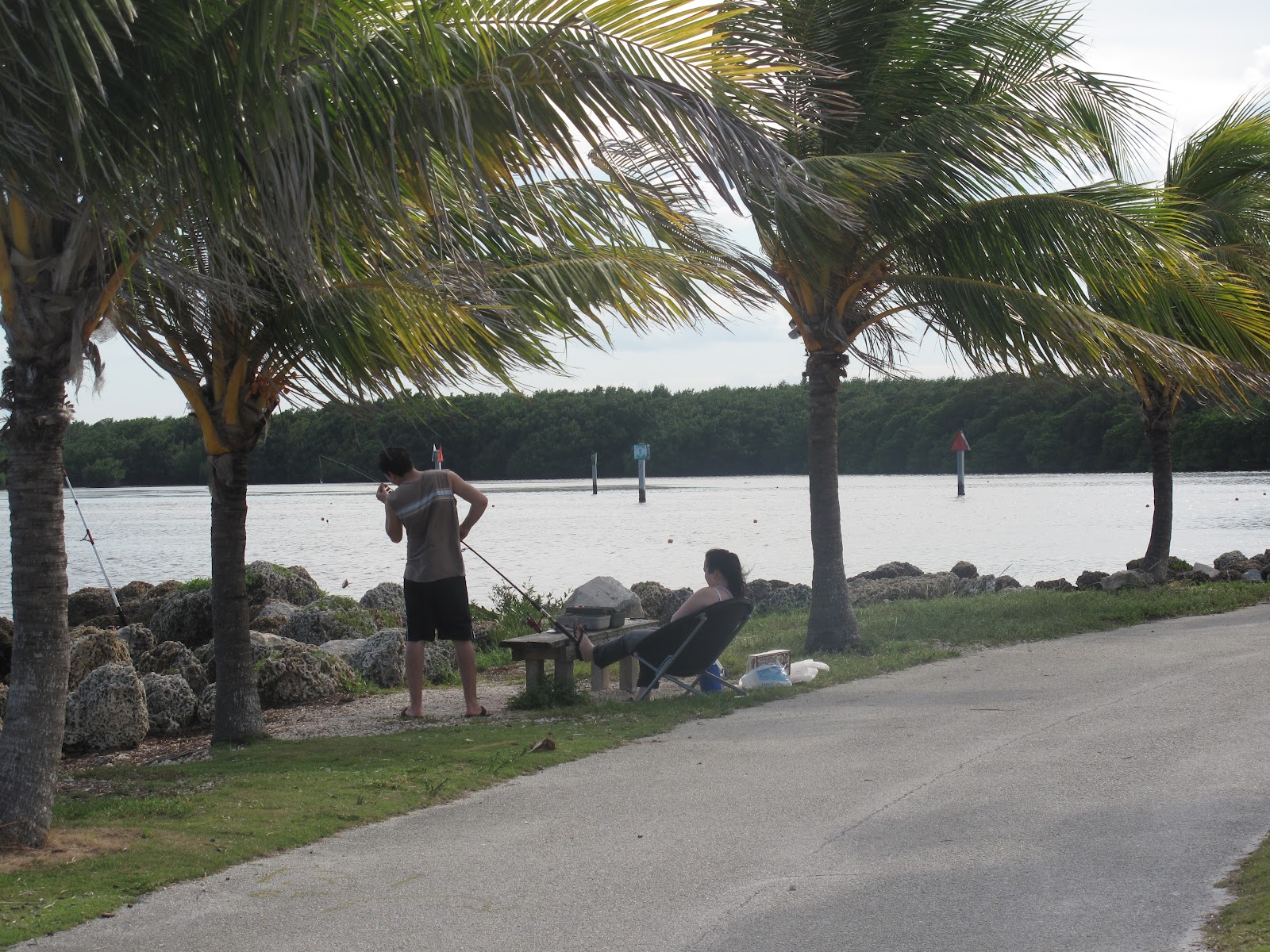 The Parks Department Matheson Hammock Park