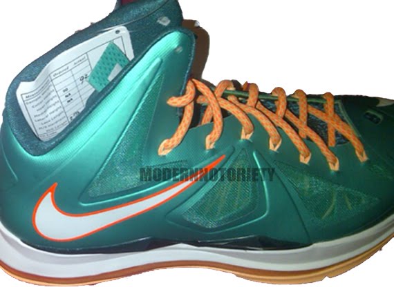 lebron x miami dolphins