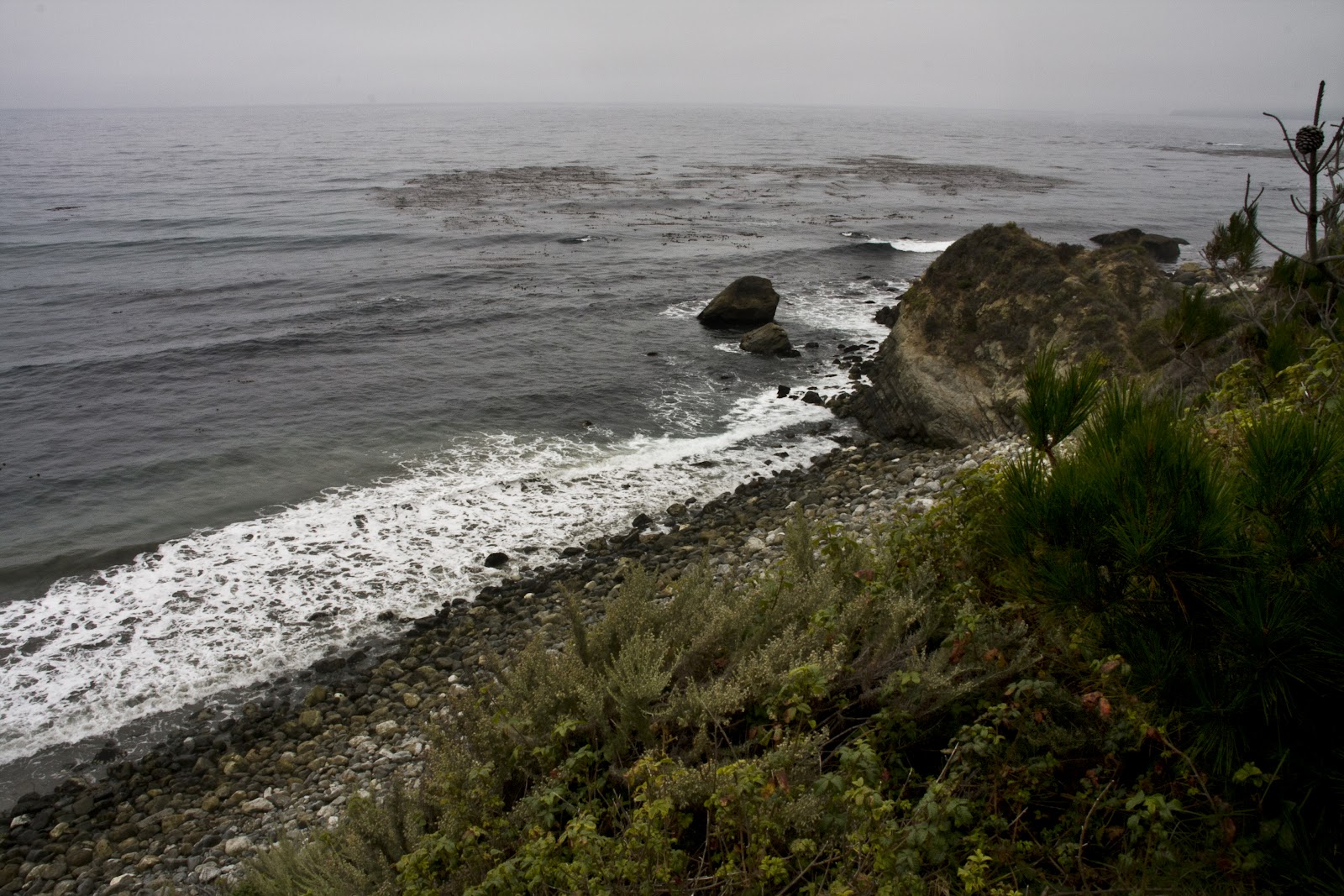 Offshore Winds Big Sur Surf on the California Coast