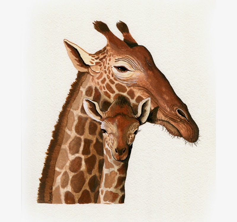 Painting a Day Art Blog Original Oil Paintings on Canvas by Linda Apple Giraffe realistic