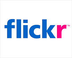 Click here for our Flickr page